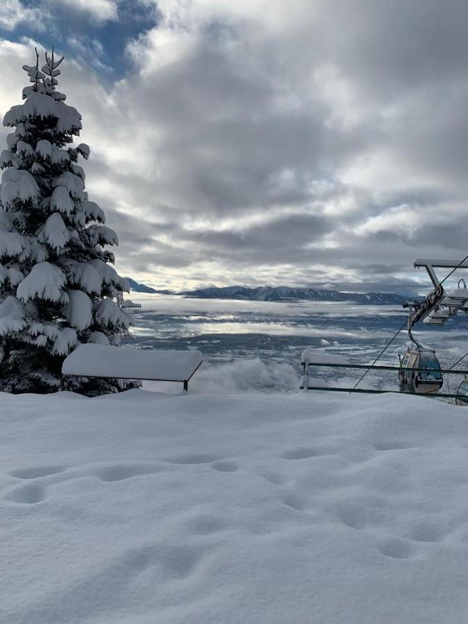 Hundefreundliche Bergwohnung neben der Skipiste - Mittelstation Skigebiet Gerlitzen Kanzelhohe Exterior foto