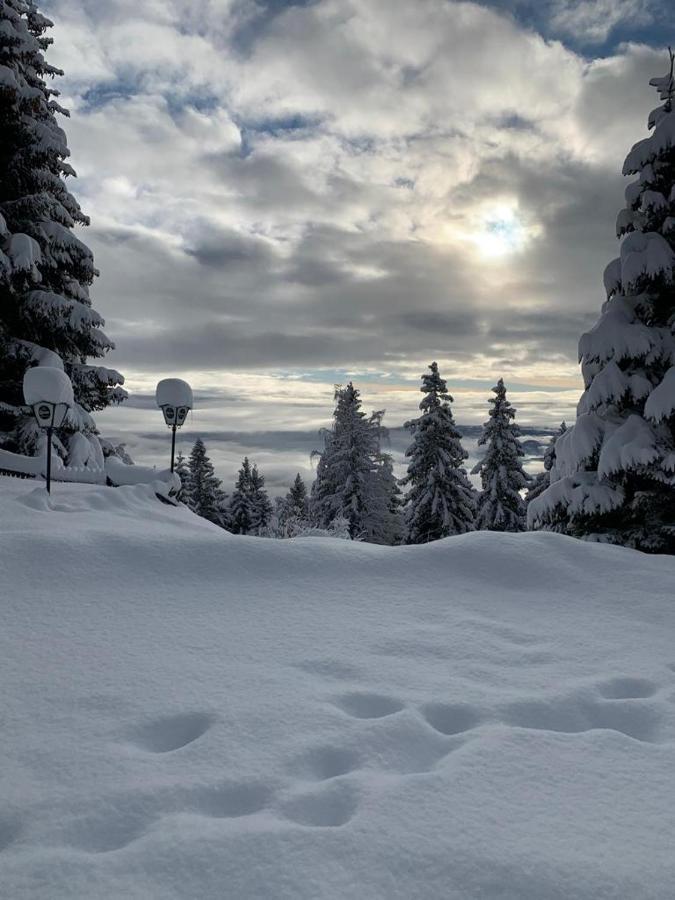 Hundefreundliche Bergwohnung neben der Skipiste - Mittelstation Skigebiet Gerlitzen Kanzelhohe Exterior foto