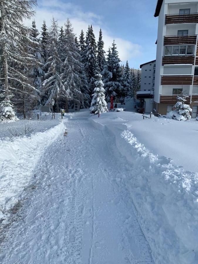 Hundefreundliche Bergwohnung neben der Skipiste - Mittelstation Skigebiet Gerlitzen Kanzelhohe Exterior foto