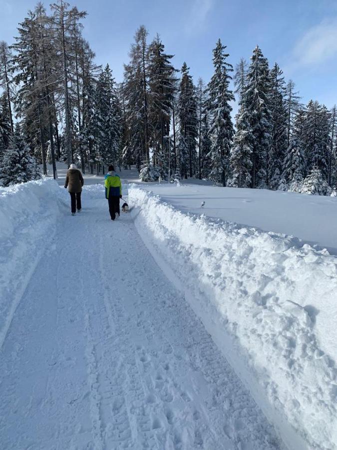 Hundefreundliche Bergwohnung neben der Skipiste - Mittelstation Skigebiet Gerlitzen Kanzelhohe Exterior foto