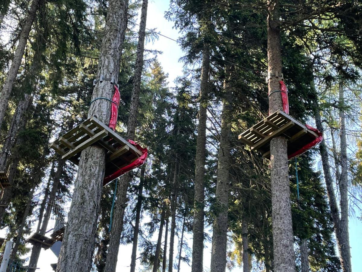 Hundefreundliche Bergwohnung neben der Skipiste - Mittelstation Skigebiet Gerlitzen Kanzelhohe Exterior foto