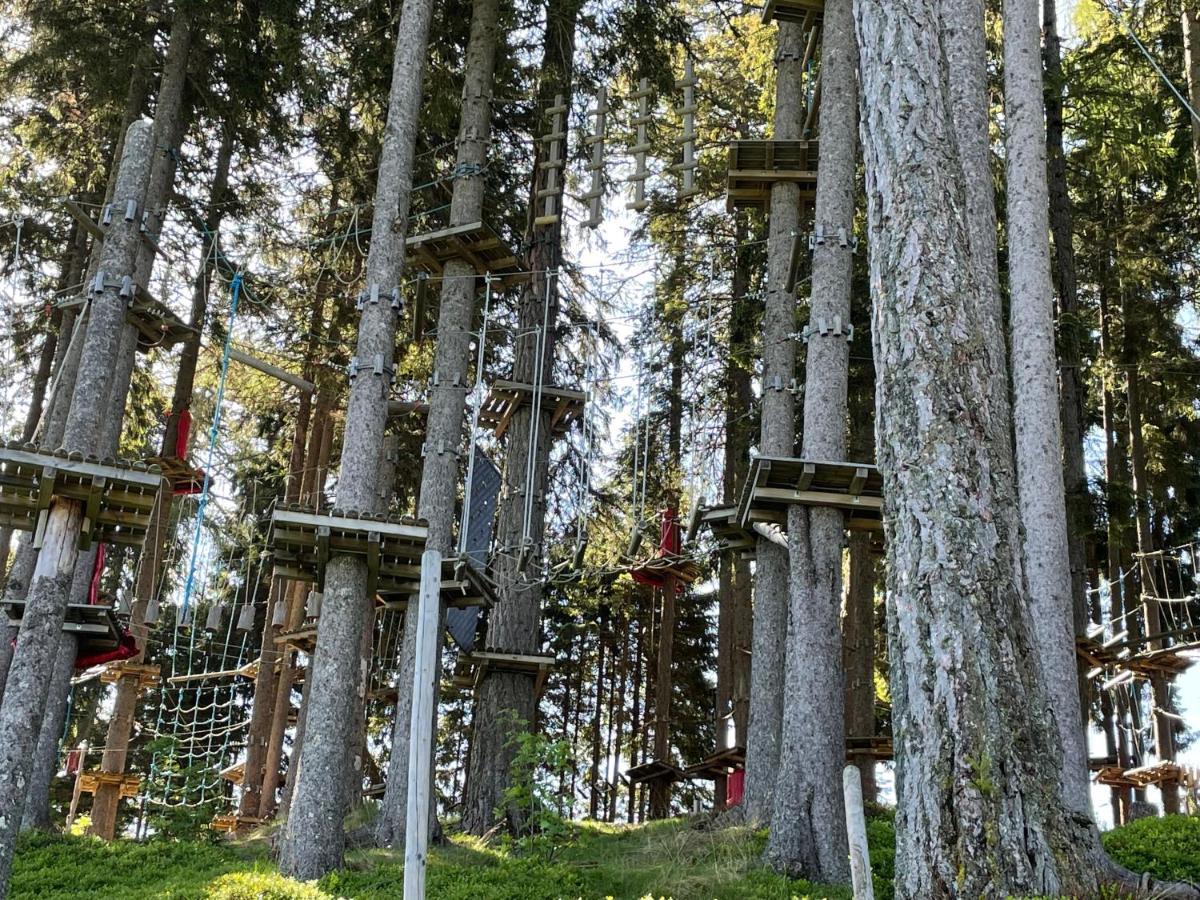Hundefreundliche Bergwohnung neben der Skipiste - Mittelstation Skigebiet Gerlitzen Kanzelhohe Exterior foto